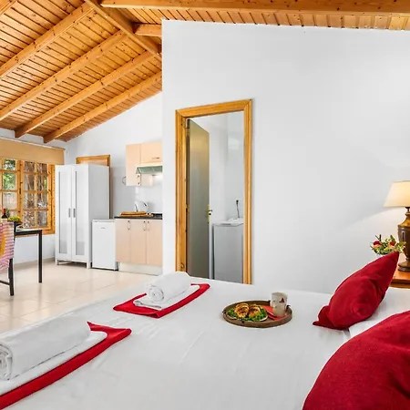 102 Bright With Pool View Appartement